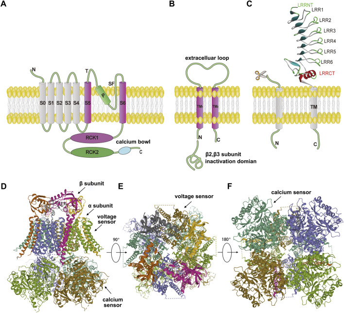 FIGURE 3