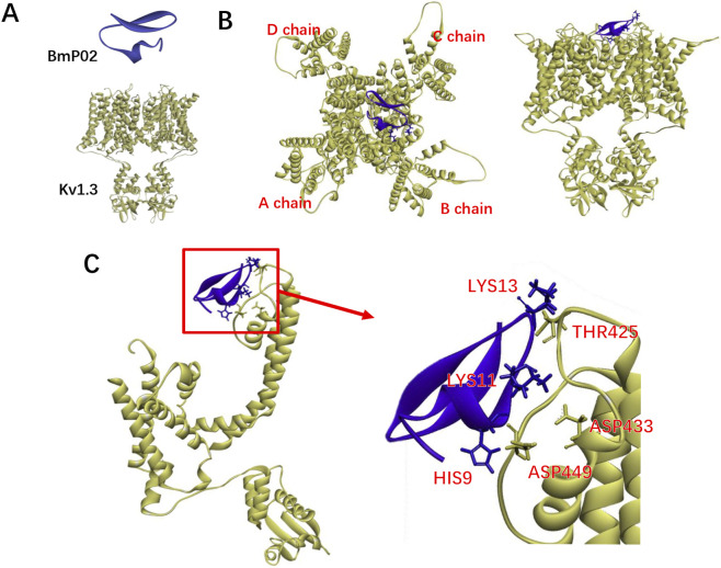 FIGURE 4