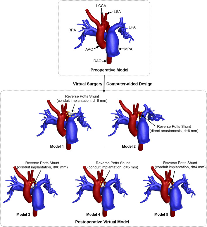 FIGURE 2
