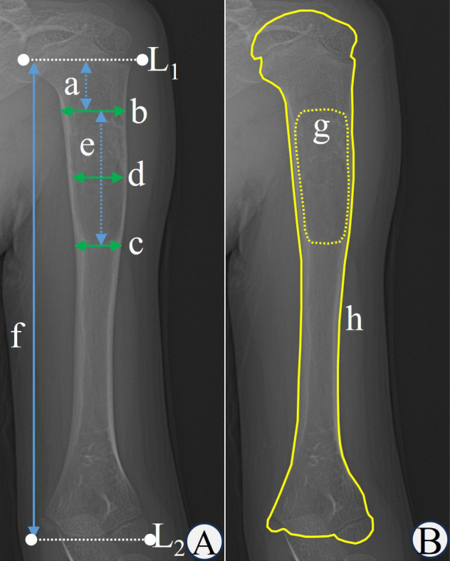 Figure 1