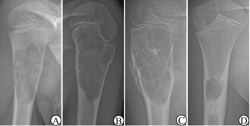 Figure 2
