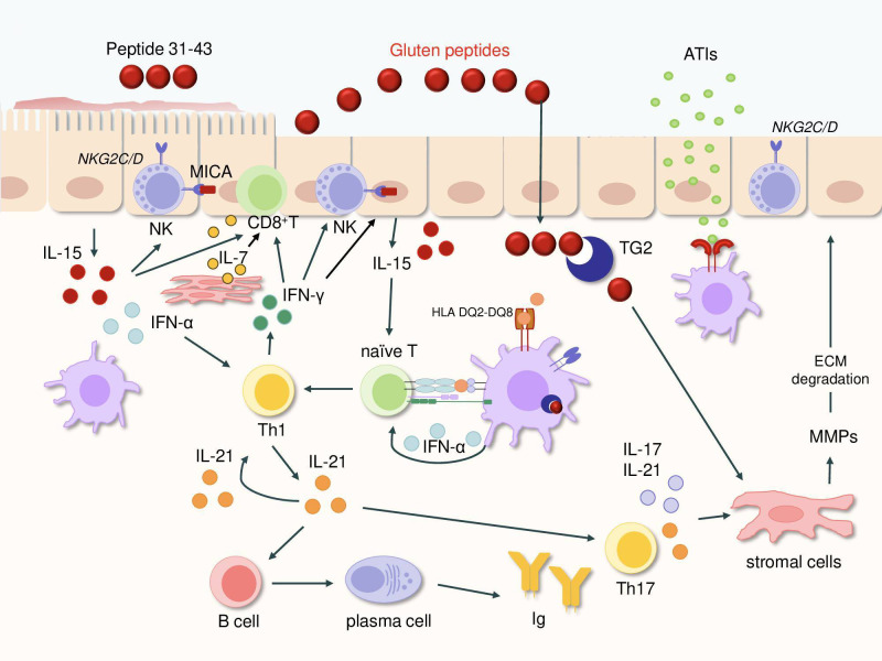 Figure 2