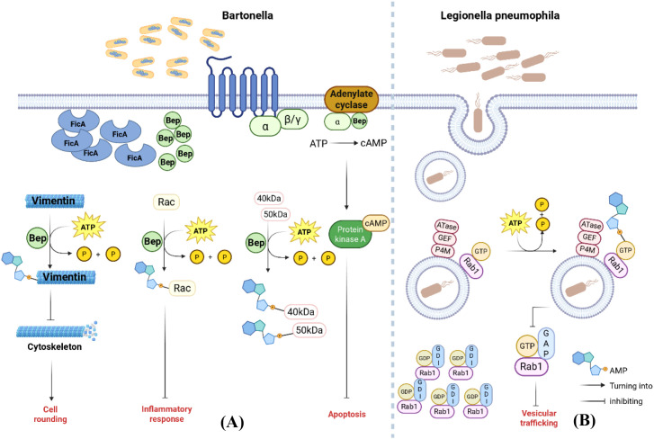 Figure 4