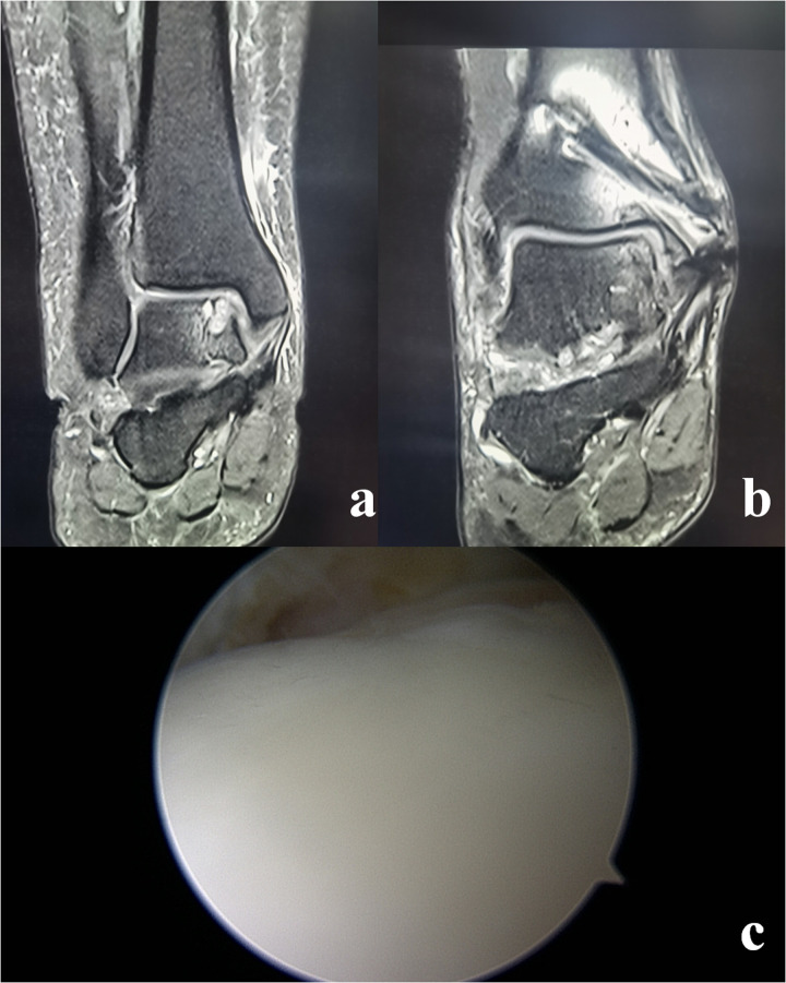 Figure 2