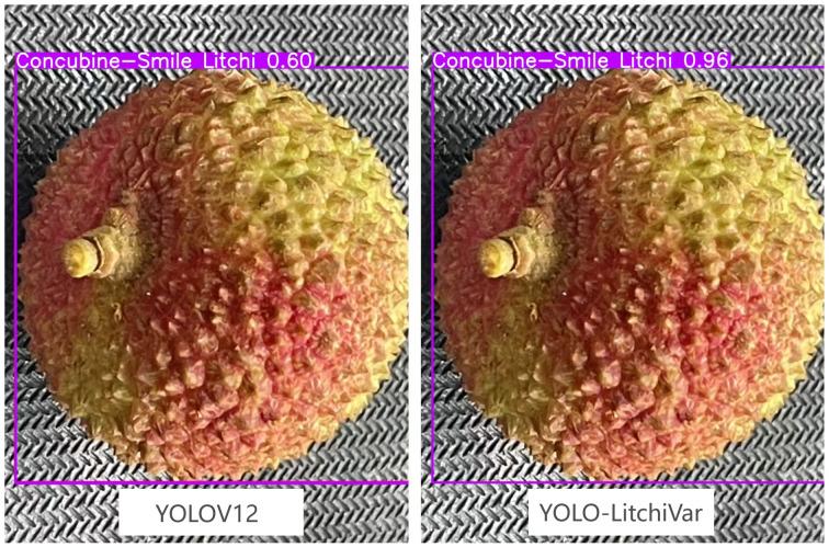 Figure 9
