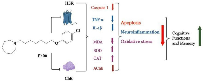 FIGURE 12
