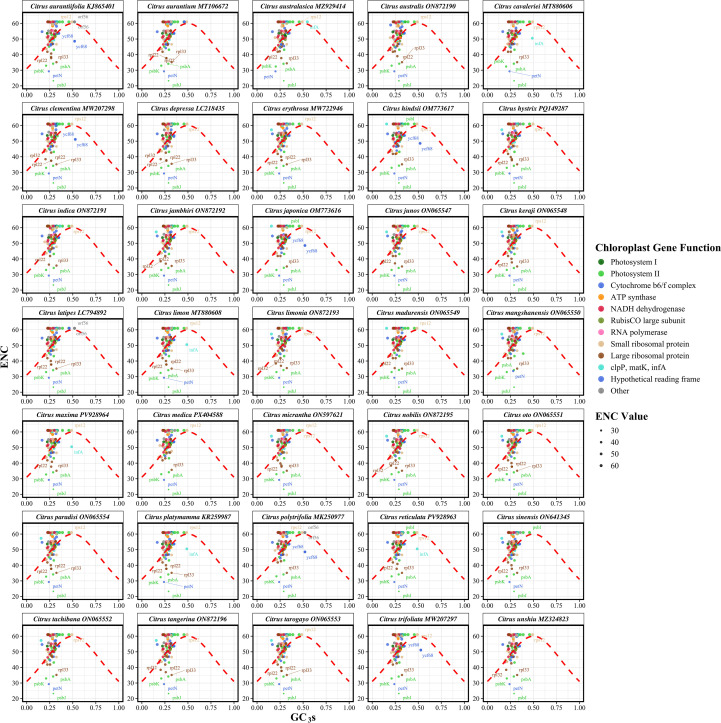 Figure 5