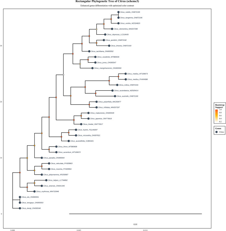 Figure 11