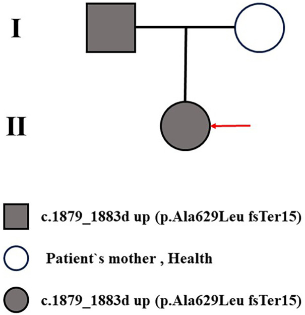 Figure 1