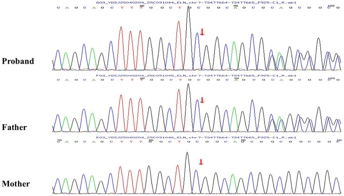 Figure 2