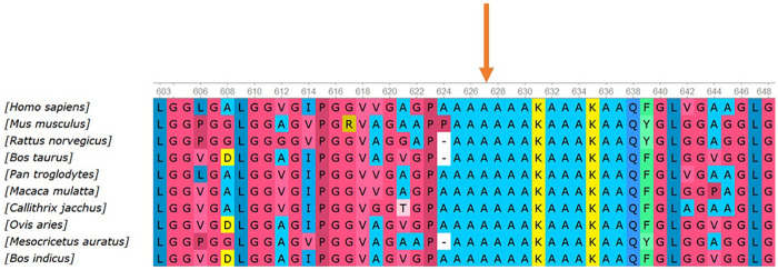 Figure 3