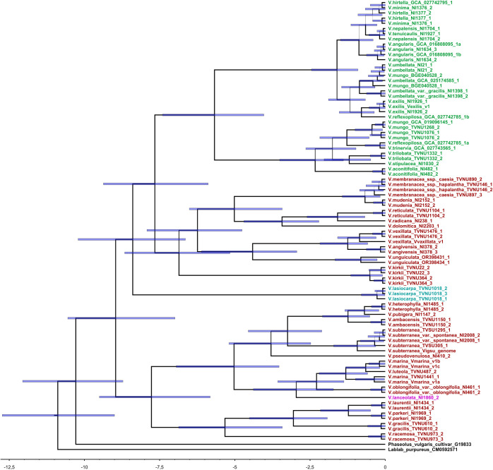 Figure 3
