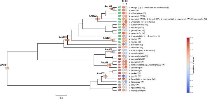 Figure 4