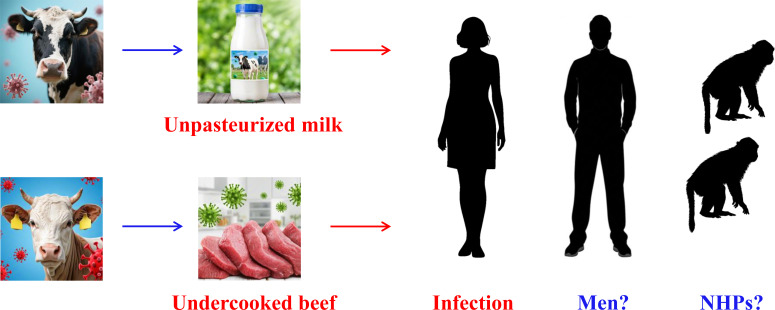 Figure 2