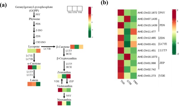FIGURE 11