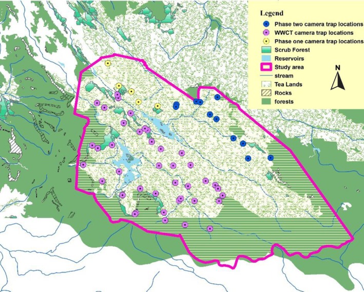 FIGURE 3