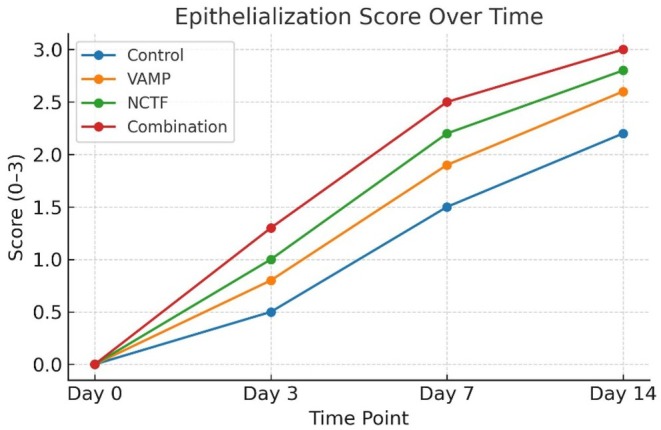 Figure 12