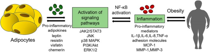 Figure 14