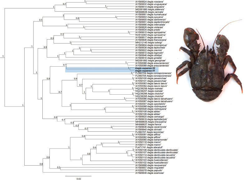 Figure 2