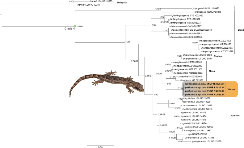 Figure 2
