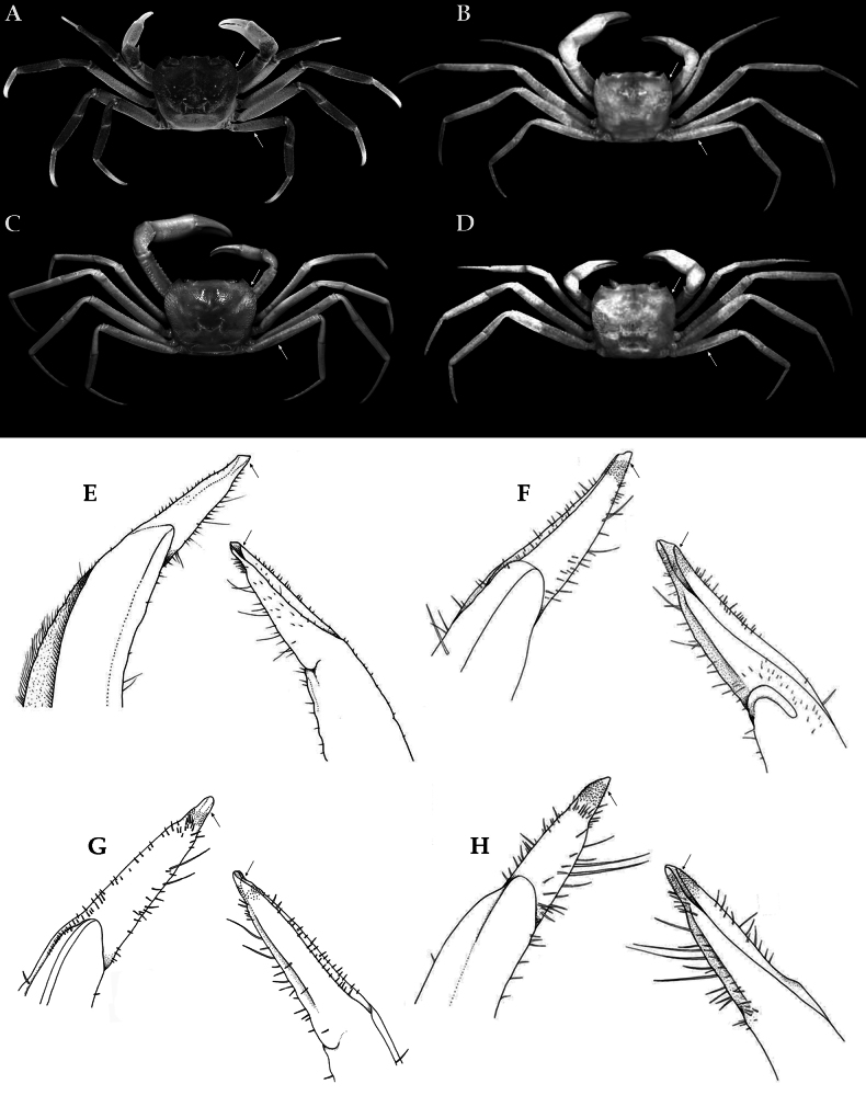 Figure 13