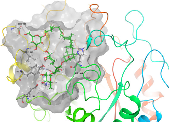 Figure 20