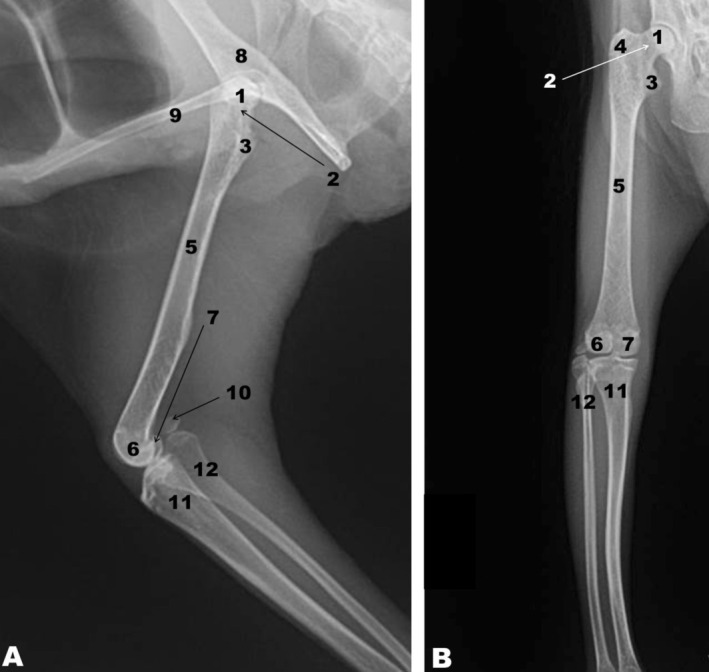 Figure 6
