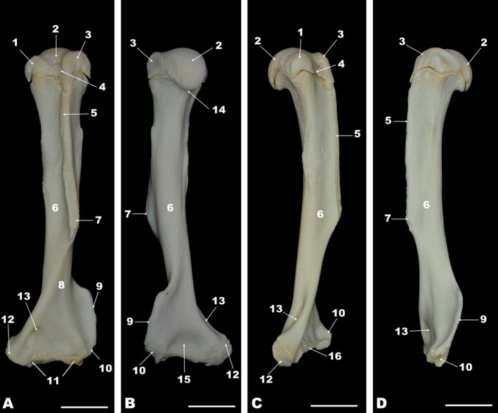 Figure 7