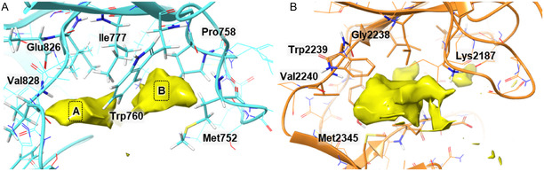 Figure 12