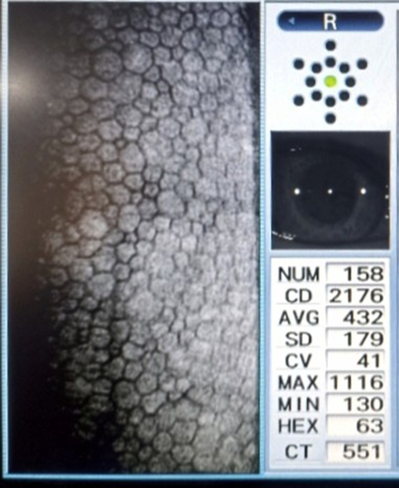 Figure 5