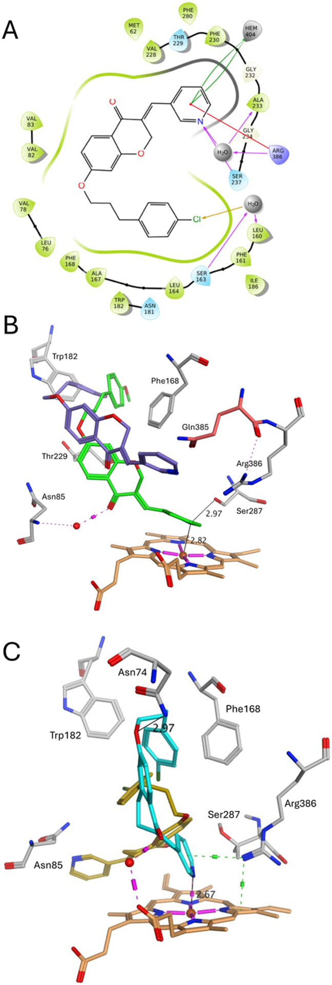 Figure 6