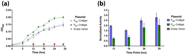 Figure 4