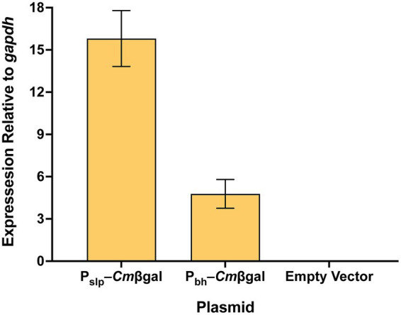 Figure 5