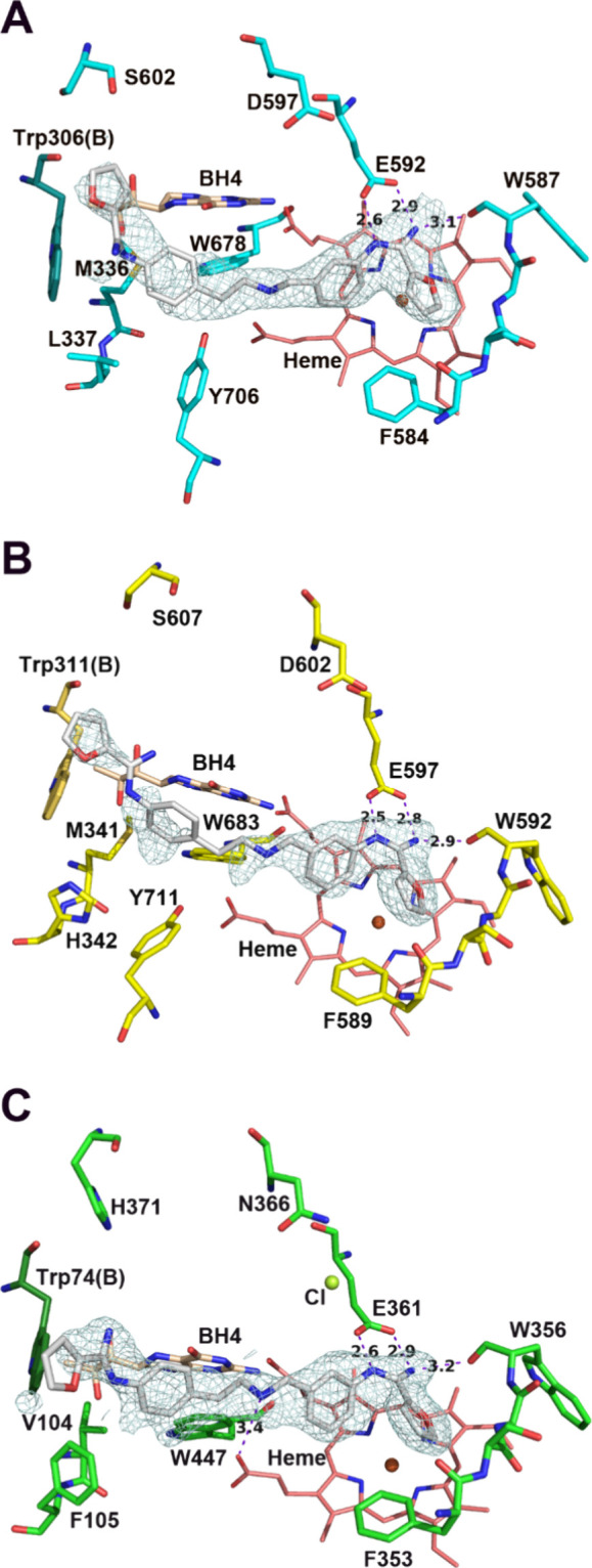 Figure 6