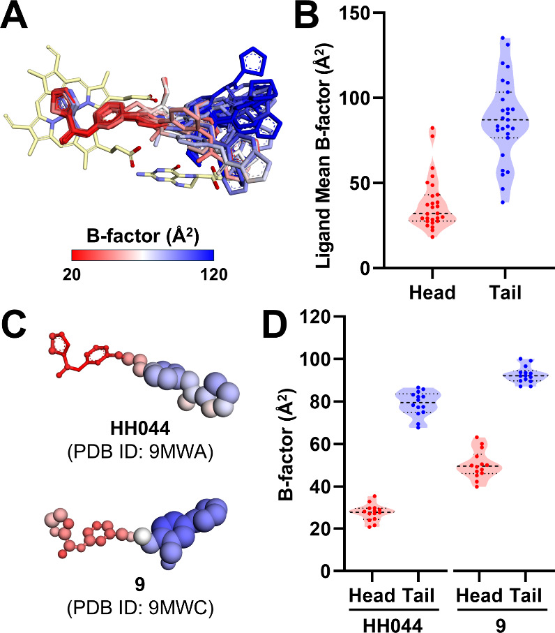 Figure 11