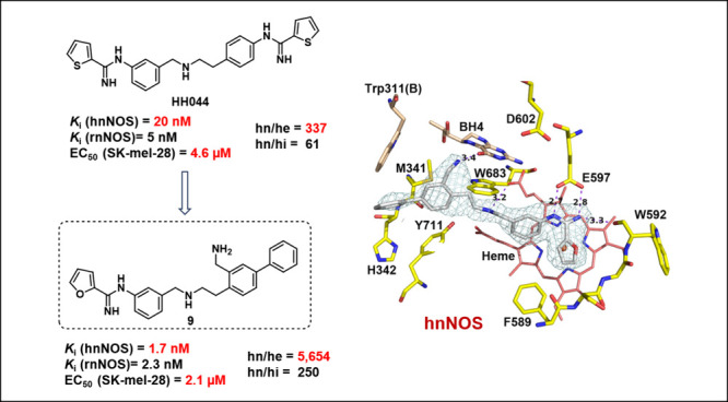 Figure 19