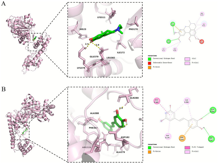 Figure 6