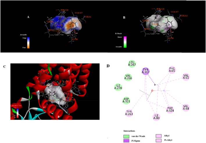 Figure 16