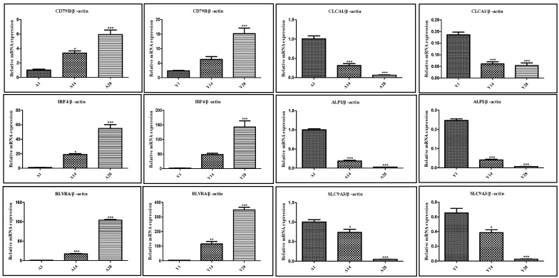 Figure 7