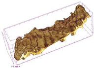 Figure 20