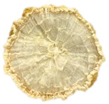 Figure 21