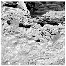 Figure 23