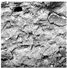 Figure 24