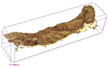 Figure 25