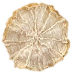 Figure 26