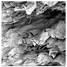 Figure 28