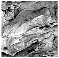 Figure 29