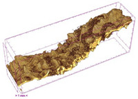 Figure 30