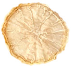 Figure 31