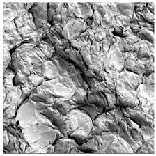 Figure 32